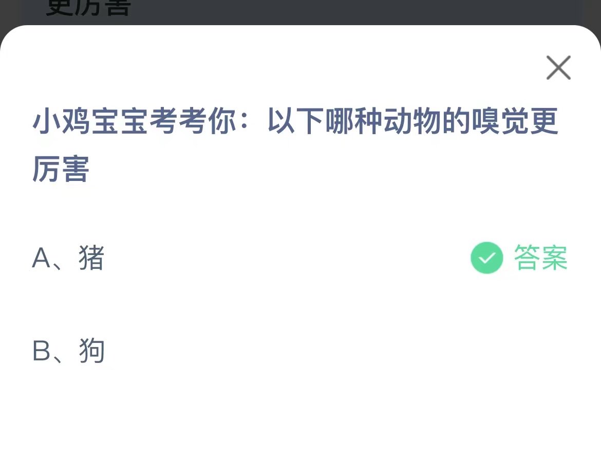 《支付宝》哪种动物嗅觉更厉害11月8日最新答案
