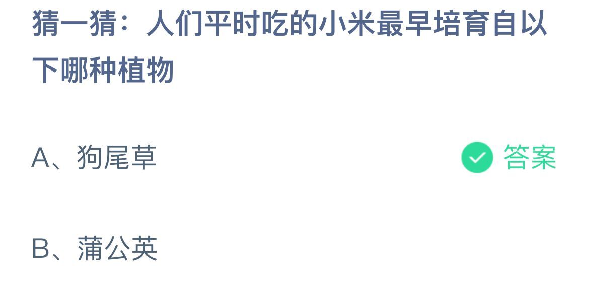 《支付宝》小米最早培育自哪种植物11月16日最新答案