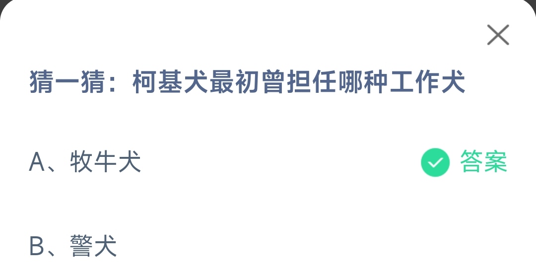 《支付宝》柯基犬最初曾担任哪种工作犬11月23日最新答案