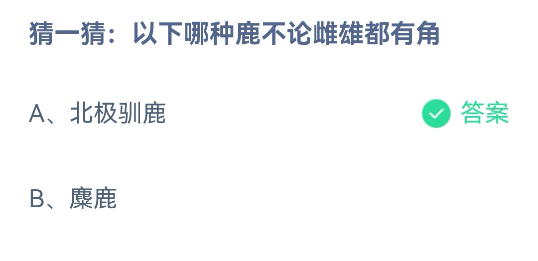 《支付宝》哪种鹿不论雌雄都有角12月31日最新答案