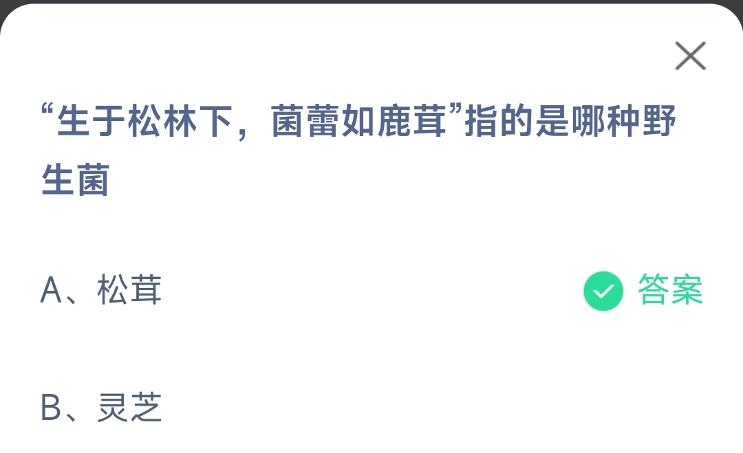 《支付宝》生于松林下菌蕾如鹿茸是哪种野生菌2023年5月18日最新答案