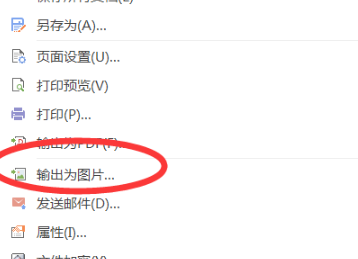 《WPS》怎么将文字输出图片形式？