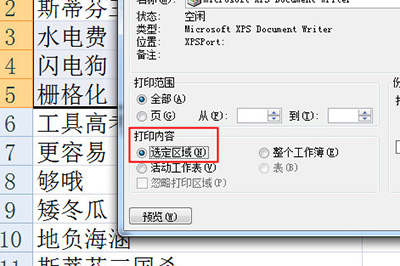 怎样打印《Excel》选定区域